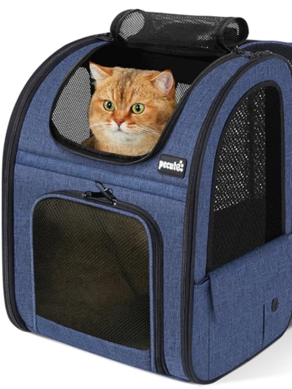 Pecute Pet Carrier Backpack Expandable, with Breathable Window